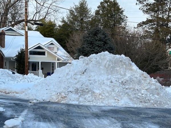 Wintry Times in North&nbsp;Woodside